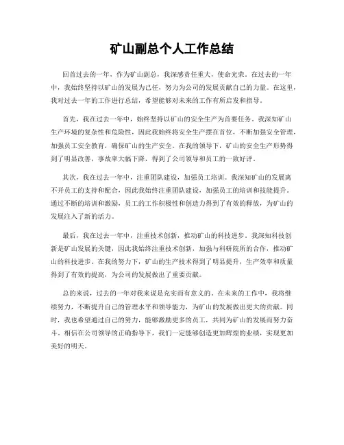 矿山副总个人工作总结