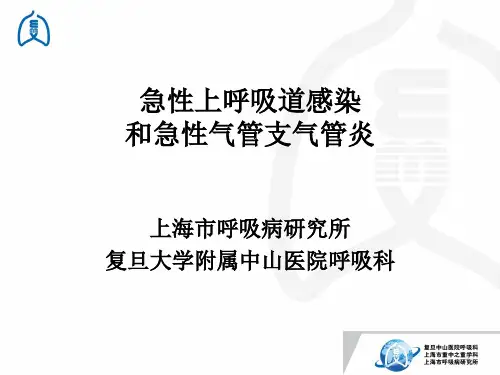 急性上呼吸道感染PPT课件