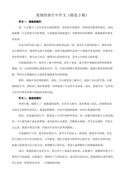 孤独的旅行中 作文(精选3篇)