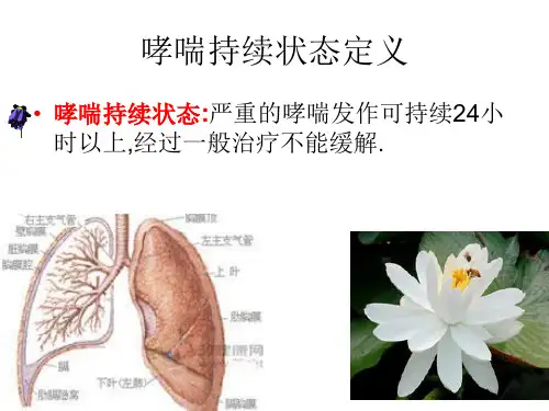 哮喘持续状态定义
