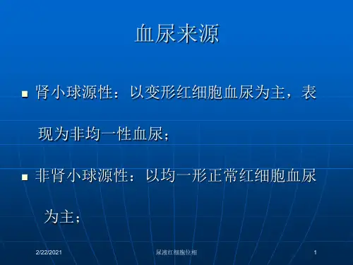 尿液红细胞位相课件