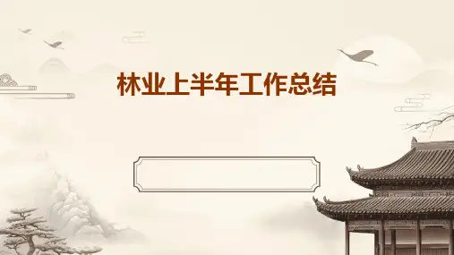 林业上半年工作总结PPT