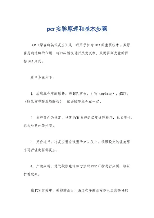 pcr实验原理和基本步骤