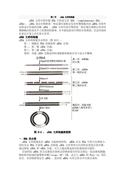 cDNA 文库的构建