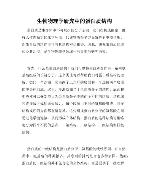 生物物理学研究中的蛋白质结构