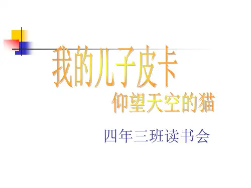 我的儿子皮卡