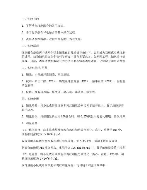 动物的融合实验报告