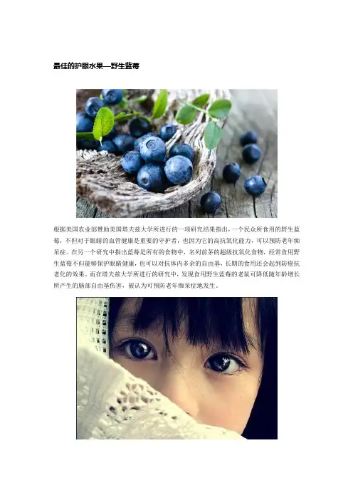 最佳的护眼水果—野生蓝莓
