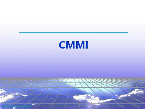 CMMI_精品文档