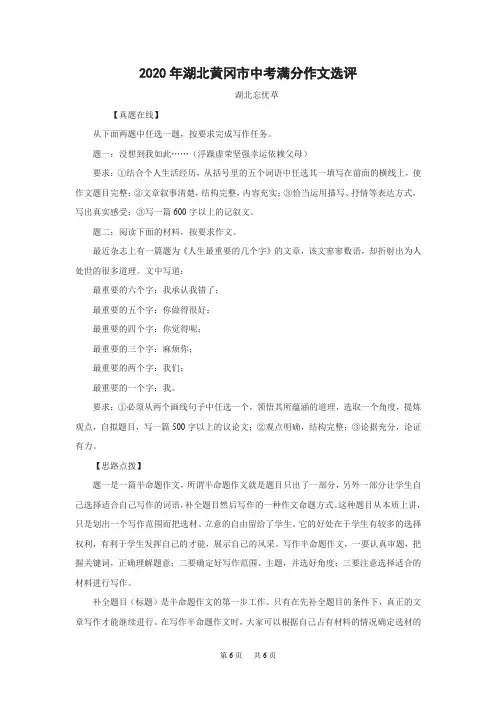 2020年湖北黄冈市中考满分作文及点评