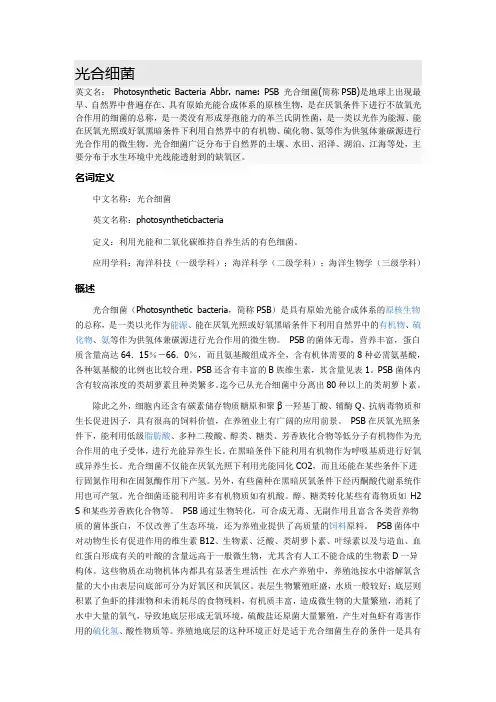 光合细菌