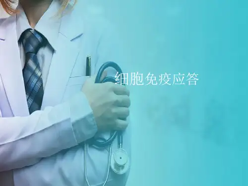 免疫应答—细胞免疫应答(免疫学检验课件)