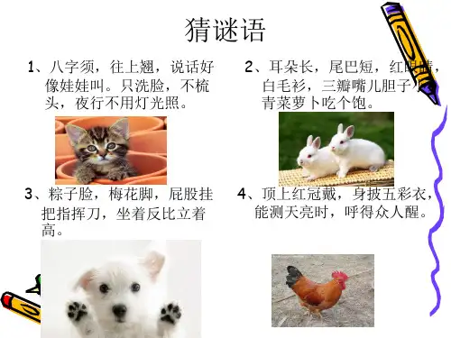 我喜欢的小动物作文ppt