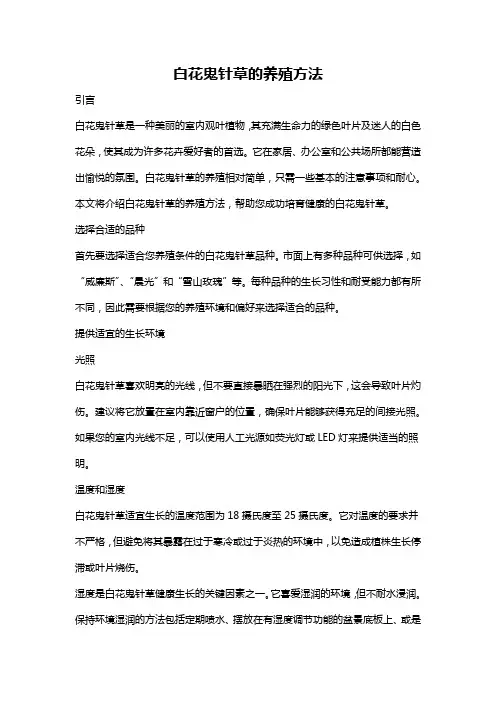 白花鬼针草的养殖方法