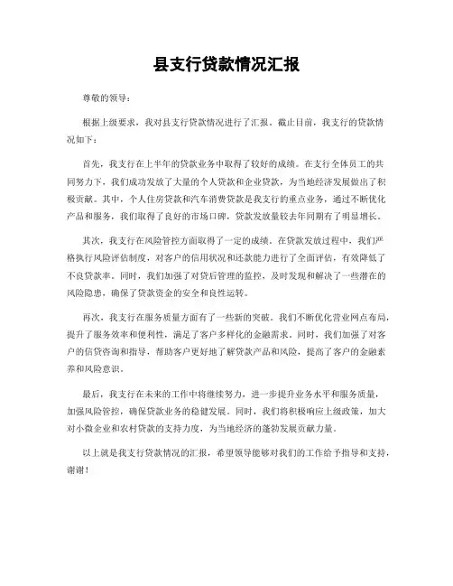 县支行贷款情况汇报