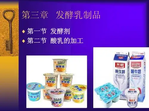 3. 发酵乳制品