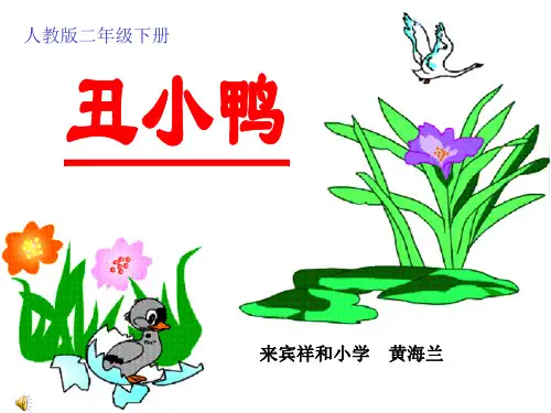 《丑小鸭》2精品PPT课件