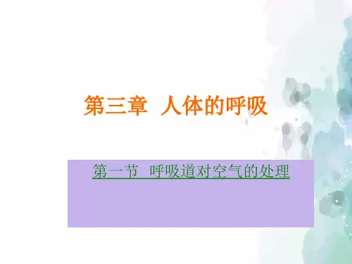 人教版-生物-七年级下册第四单元第三章第一节呼吸道对空气的处理课件