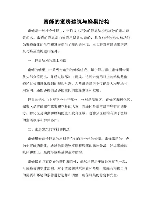 蜜蜂的蜜房建筑与蜂巢结构