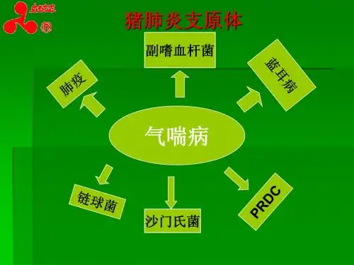 关于支原体