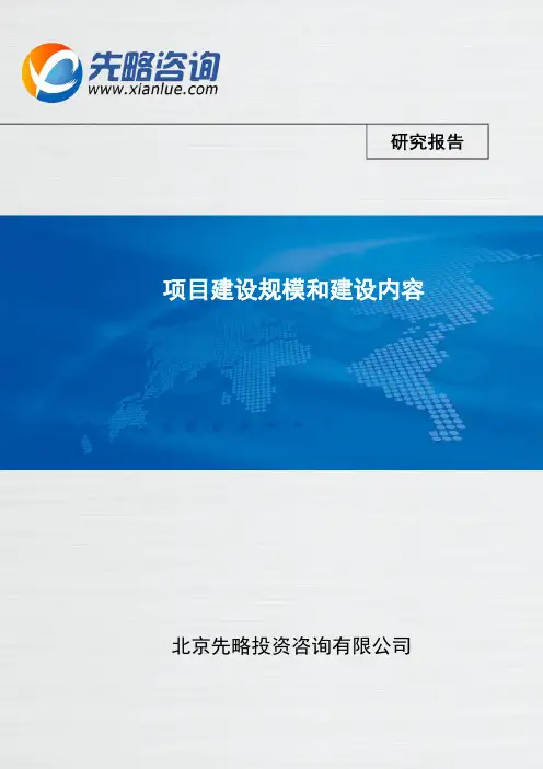 项目建设规模和建设内容(报告精选)