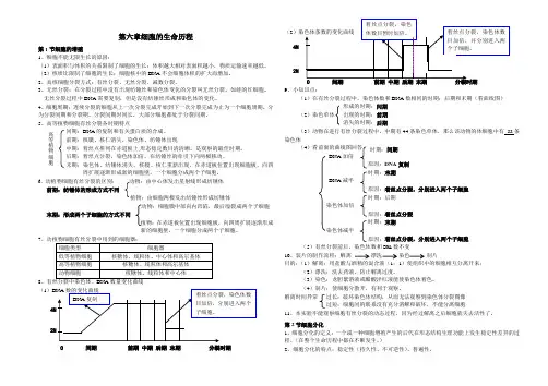 答案   高一必修一第六章复习基础知识答案