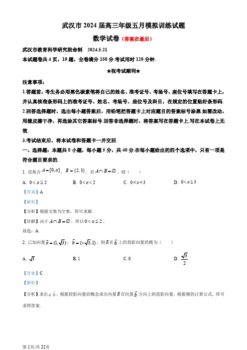 湖北省武汉市2024届高三下学期5月模拟训练试题数学试卷含答案