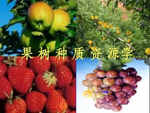 1 果树种质资源学的基本概念及研究概况 