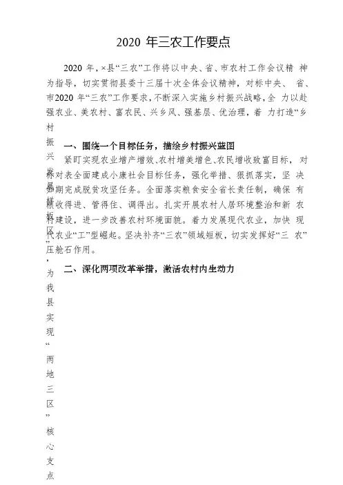 2020 年三农工作要点