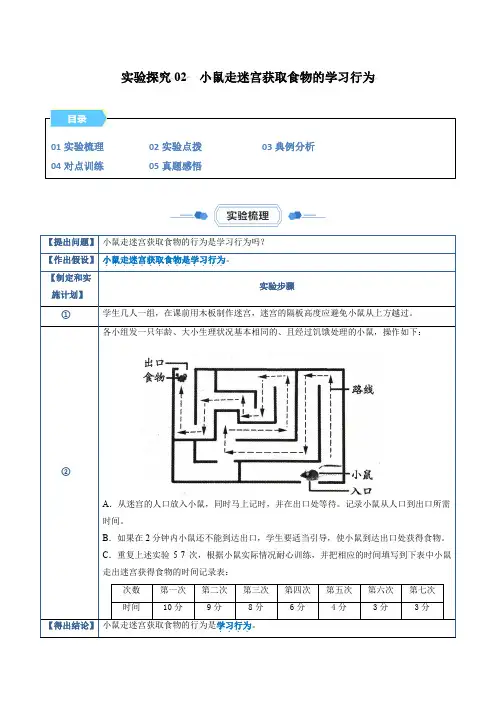 实验探究02 小鼠走迷宫获取食物的学习行为-【同步实验课】2023-2024学年八年级生物上册教材实