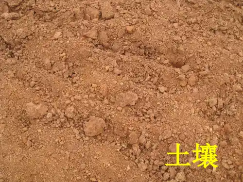 小学科学苏教版三年级下册第一单元第四课《土壤的保护》