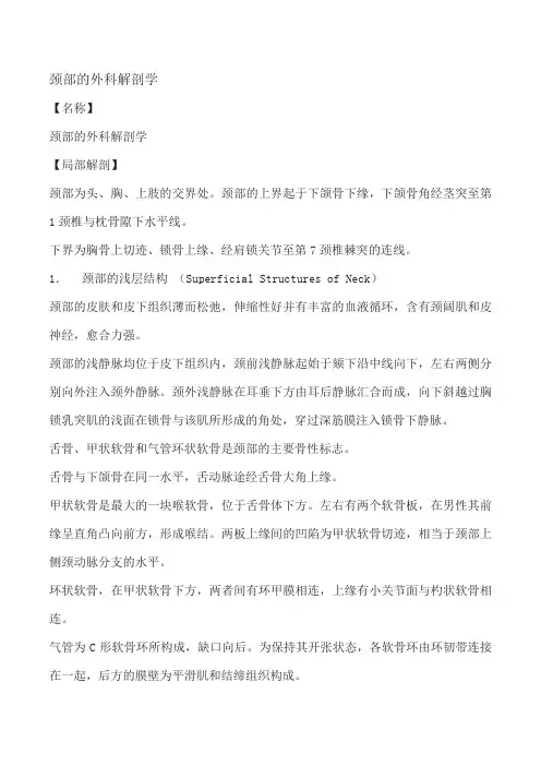 颈部的外科解剖学
