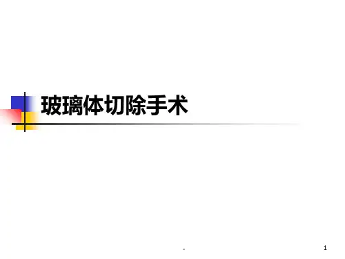 玻璃体切除手术PPT课件