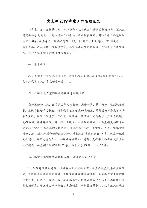 党支部2019年度工作总结范文