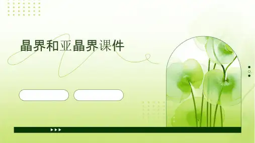 晶界和亚晶界课件