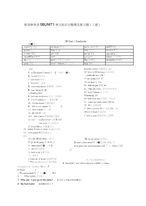 (完整版)【个人精心制作】新译林小学英语5BUNIT1单元知识点整理及复习题(三套),推荐文档