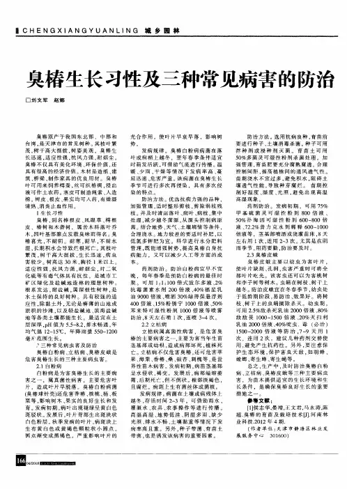 臭椿生长习性及三种常见病害的防治
