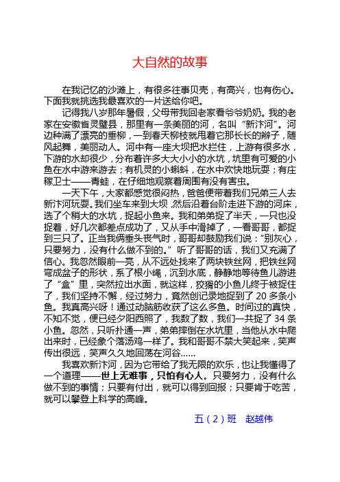 大自然的故事