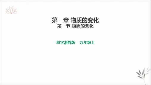 浙教版九年级科学上册第一章物质的变化教学课件24张