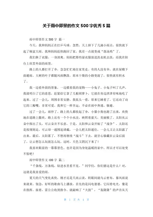 关于雨中即景的作文500字优秀5篇