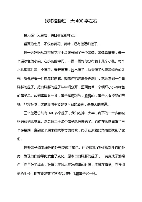我和植物过一天400字左右