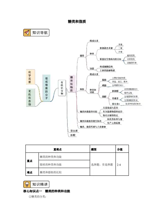 2020-2021学年高一上学期生物人教版(2019)必修一糖类和脂质