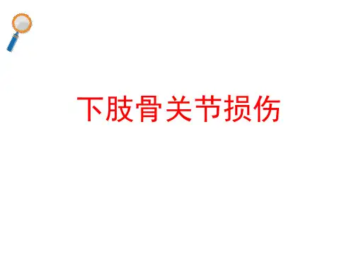 外科学PPT课件 下肢骨关节损伤 下肢骨折