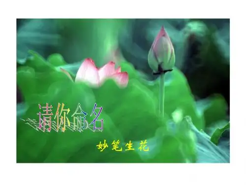 22《 爱莲说》