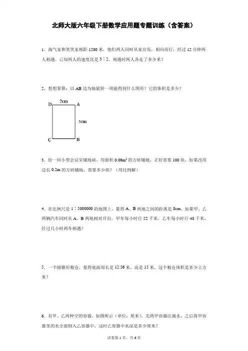 北师大版六年级下册数学应用题专题训练(含答案)