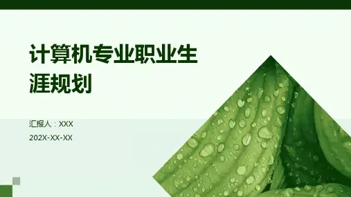 计算机专业职业生涯规划ppt