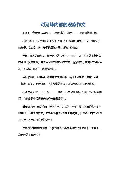 对河蚌内部的观察作文