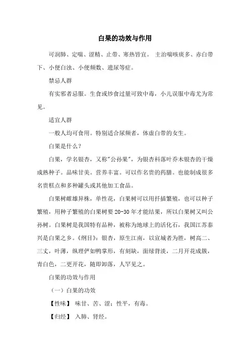 白果的功效与作用 2