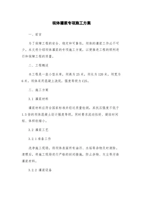 坝体灌浆专项施工方案