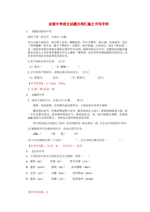 中考语文复习分类检测训练之书写字形(含部分字音)